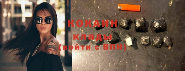 прущие грибы Краснослободск