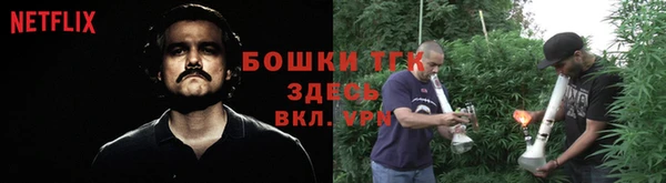 прущие грибы Краснослободск