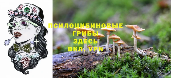 спиды Красноперекопск
